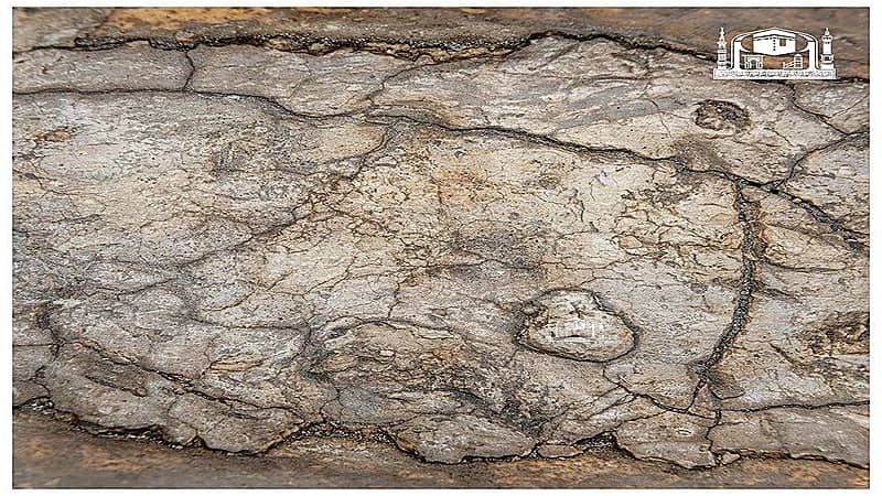 "صور" توثق مقام سيدنا إبراهيم بتقنية حديثة