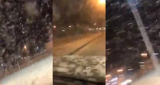 بالفيديو.. أسراب كبيرة من الجراد تغطي سماء ينبع النخيل