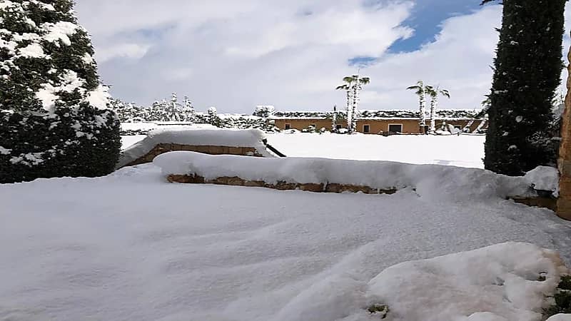 شاهد.. عاصي الحلاني يشارك جماهيره صوراً من داخل مزرعته