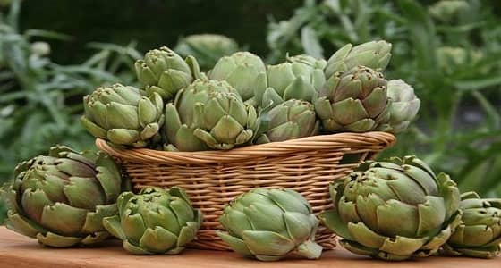 " الخرشوف " و " جوزالهند " أطعمة تنقص الوزن