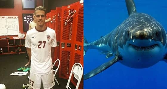 أسماك القرش تنهي حياة لاعب كرة قدم