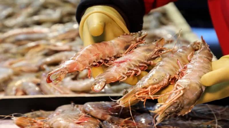 تهريب شحنة مخدرات بـ 40 مليون يورو في "الجمبري"