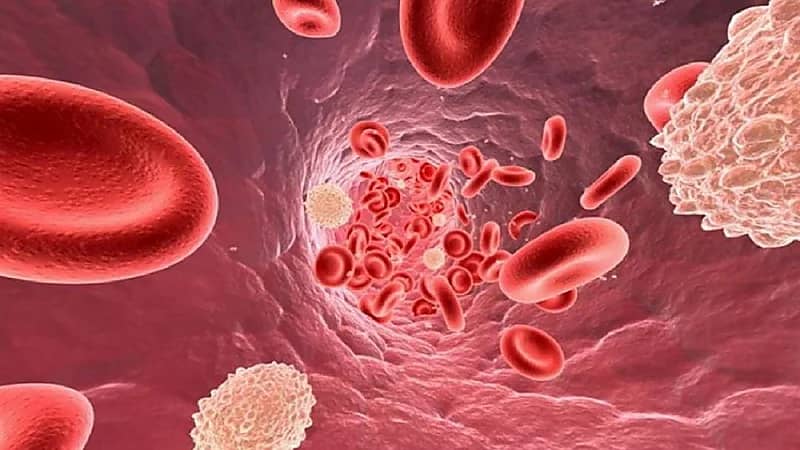 مدينة الملك فهد الطبية توضح ما هو "إنتان الدم" وأعراضه وطرق علاجه