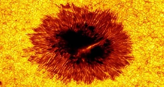 فلكية جدة: لا وجود للبقع الشمسية خلال صيف 2019