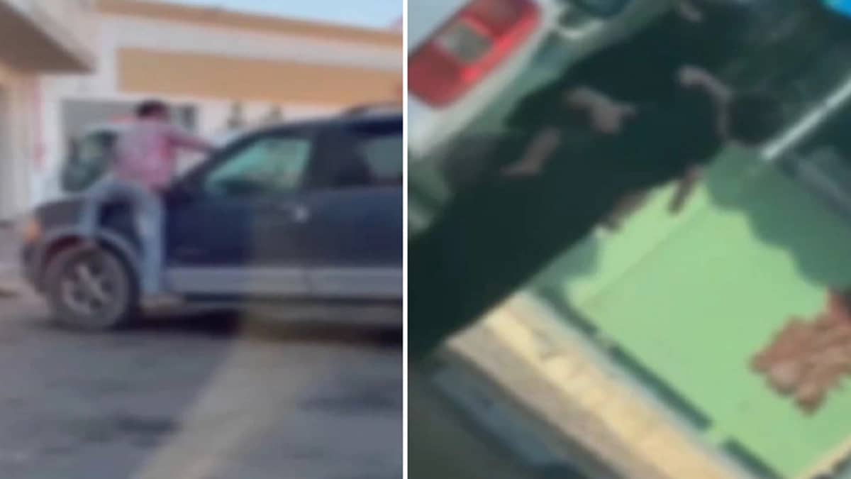 ضبط 4 أشخاص يمارسون التسول في تبوك.. فيديو