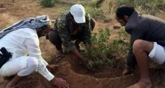 شجرة تفاح لطارق صالح تثير رعب الحوثي