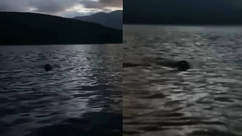 ذعر في بحيرة نائية بعد مطاردة عيون لامعة غامضة لقارب في الظلام! .. فيديو