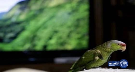 معلم يستخدم مسدساً لعبة لإجبار الطلاب على التجاوب معه .. فيديو