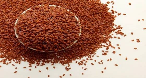 بالفيديو.. القحطاني : حبوب الرشاد خطر على الجنين والمرأة الحامل بالشهور الأولى