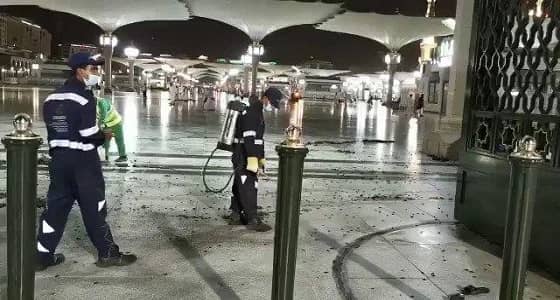 بالفيديو والصور.. استمرار عمليات الرش ومكافحة الحشرات بالحرم النبوي