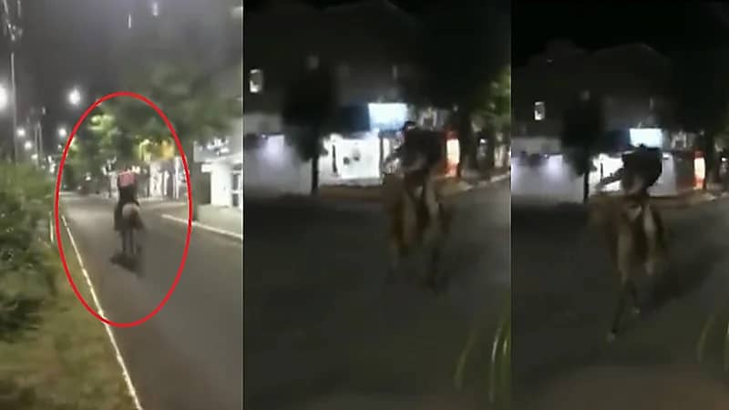 شاهد.. عامل توصيل بيتزا يستخدم الخيل بعد ارتفاع أسعار البنزين