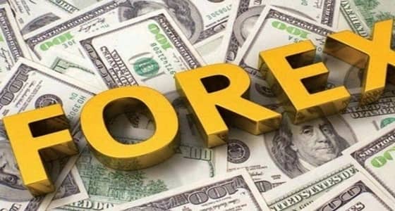 لجنة التوعية من " الفوركس " تبدأ أعمالها