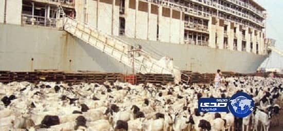 مقذوف عسكري بنجران يتسبب في وفاة مقيم وإصابة آخر