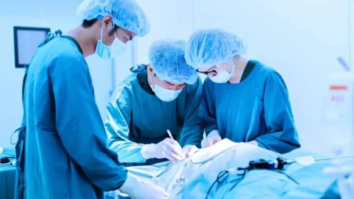 49de8db8-9c28-4916-90f3-6096335fa001 (1).jpg