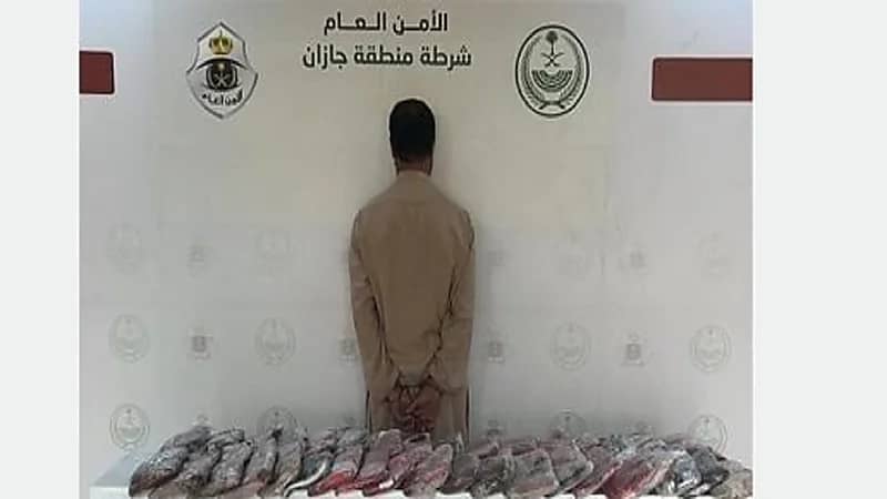 ضبط 37 كيلو جرامًا من مادة الحشيش المخدر بحوزة مقيم