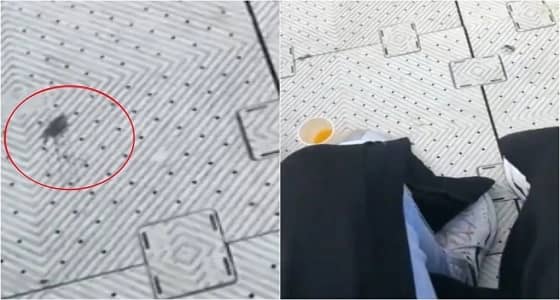 فتاة تدخل في نوبة بكاء بعد رؤيتها خصلة شعر لأحد أعضاء BTS (فيديو)