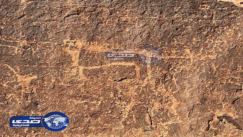 يعود عمره لاكثر من 2500 عام .. بالصور " نقش يؤكد أن " الأسد " عاش في منطقة تبوك