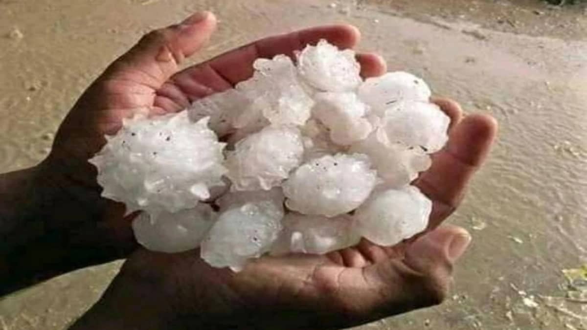 بالصور.. تكدسات من البرد تشكل هيئة فيروس كورونا