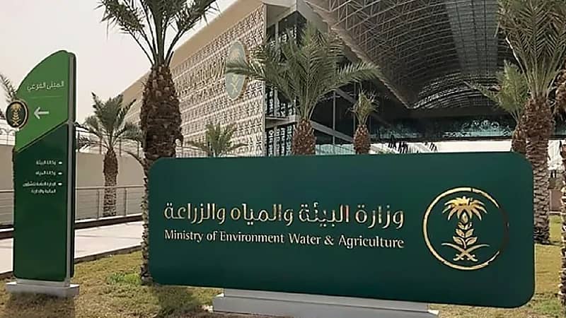 فرع البيئة بالمدينة المنورة يحظر صيد أسماك الناجل والطرادي لمدة شهرين