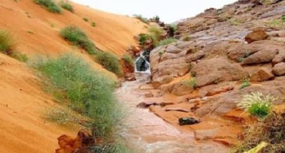 «الزعاق» يوضح حالة الطقس في موسم العقارب