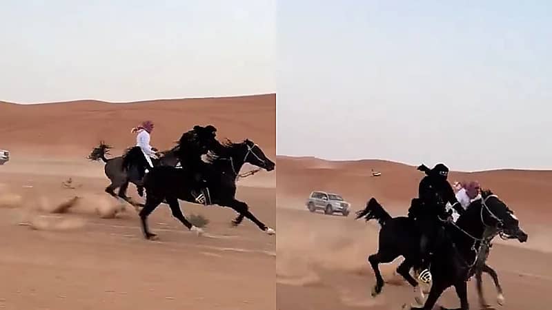 الفارسة منيرة القحطاني تستعرض مهاراتها في ركوب الخيل بسرعة فائقة .. فيديو