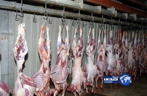 بالفيديو.. سعاد صالح تعلق على فتوى معاشرة الزوجة المتوفاه والبهائم