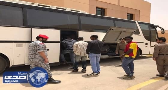 ترحيل 175 شخصا خالفوا نظام الإقامة بالجوف