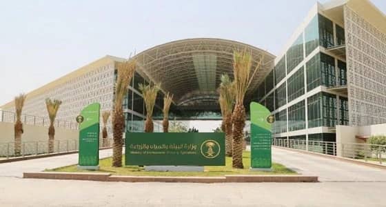 " البيئة " تعلن عن وظائف شاغرة.. التفاصيل والشروط!