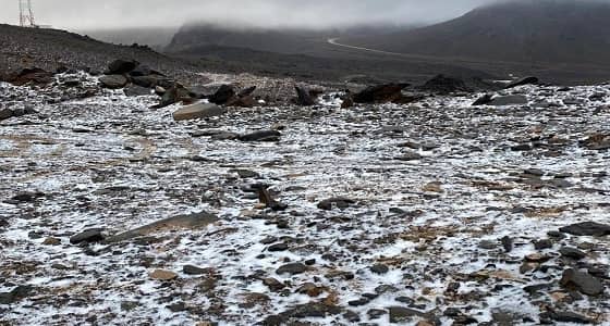 بالفيديو والصور.. أمطار وثلوج بمنطقة تبوك