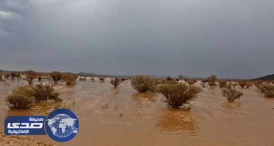 بالصور.. أمطار تربة تتسبب في جريان وادي وراخ