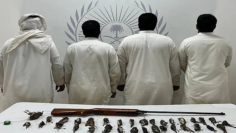 القبض على 4 مخالفين لارتكابهم مخالفة صيد بمحمية الإمام تركي الملكية