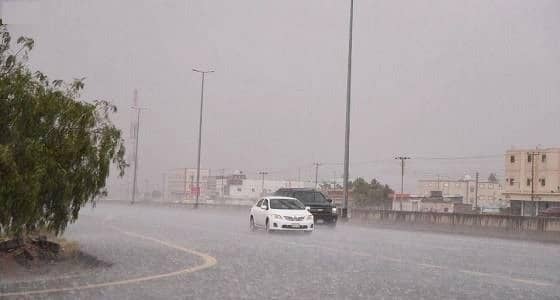 بالفيديو.. حالة الطقس المتوقعة غدًا الأحد
