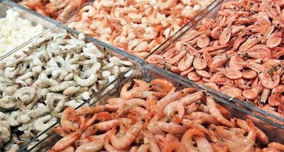 مع اقتراب موسمه..10 آلاف ريال غرامة على المخالفين لنظام صيد الروبيان