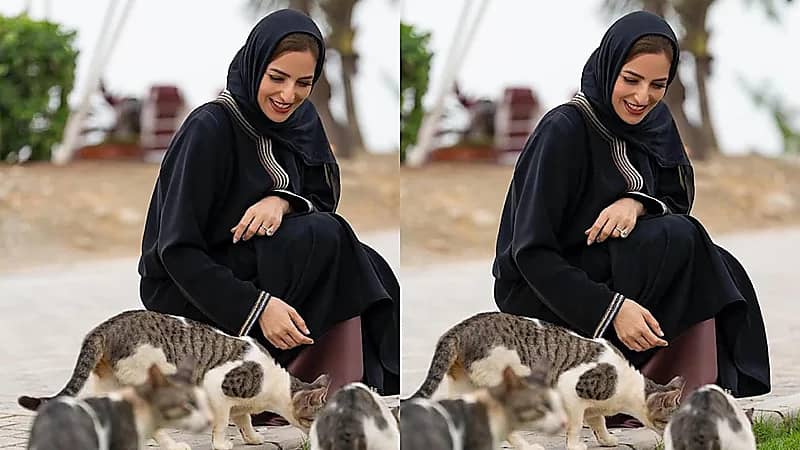 إنسانية السيدة الجليلة حرم سلطان عمان وهي تطعم القطط في مشهد مؤثر.. فيديو