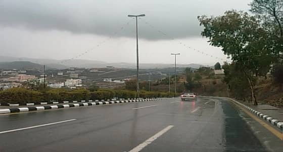 الأرصاد تنبه من أمطار رعدية على الباحة ومحافظاتها