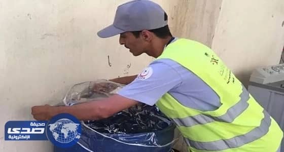 " الضنك " يهدد جدة بعد اكتشاف 33 ألف بؤرة للبعوض