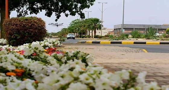 بالفيديو والصور.. جمال ساحر لـ طبرجل بعد هطول الأمطار والثلوج