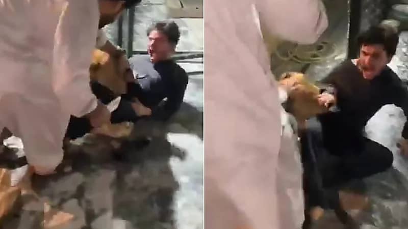 شاب باكستاني يدعو أصدقائه لرؤية حيوانه الأليف أسد والمفاجأة تنتهي بهجوم مرعب