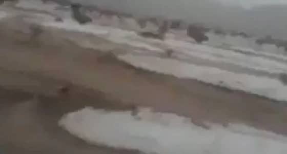 بالفيديو.. السيول والبرد في تثليث