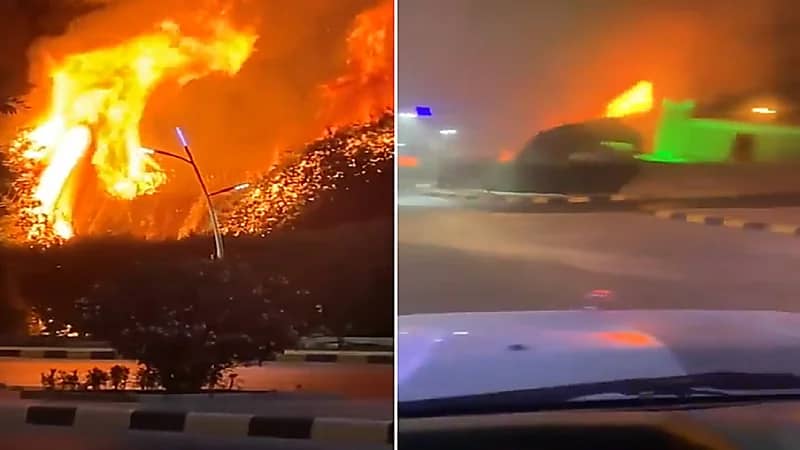 بالفيديو .. اندلاع حريق بالأشجار في شلال "تمير"