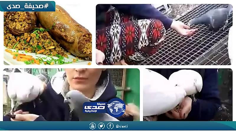 زوج يطلق زوجته الشابة بسبب إصرارها على وجبة زغاليل الحمام