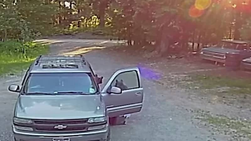 شاهد.. لحظة اقتحام دبان لسيارة دفع رباعي