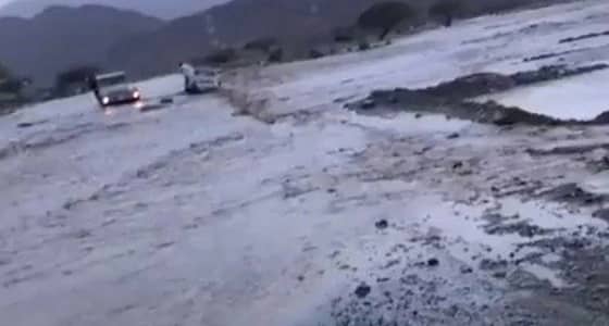 قائد " شاص " ينقذ شابًا احتجزت السيول سيارته في الوجه