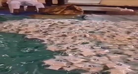 بالفيديو.. إحباط تهريب حبوب مخدرة بميناء جدة قادمة من سوريا ولبنان