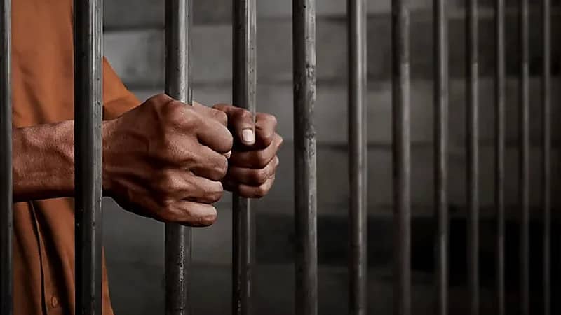 محامي: عقوبة الحادث المتعمد تصل إلى القتل .. فيديو