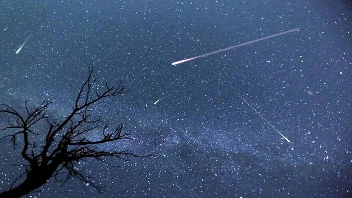 فلكية جدة: بدء ذروة زخة شهب الثوريات الشمالية هذا الأسبوع