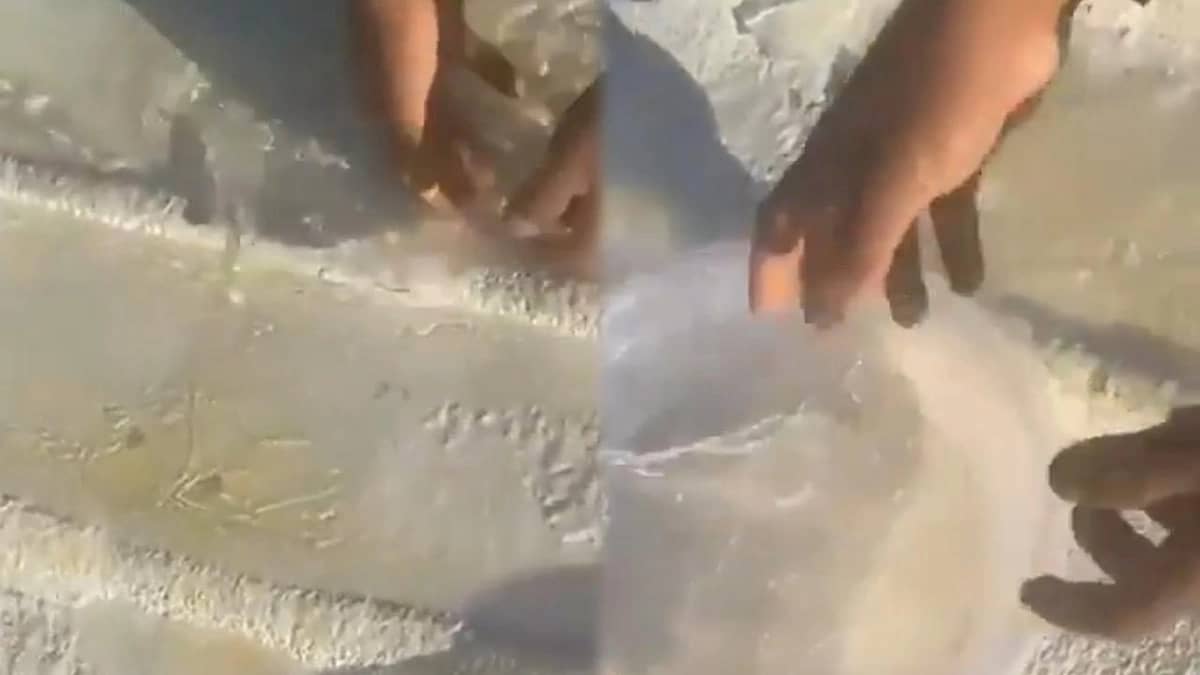 تجمّد المياه في حريملاء بسبب انخفاض درجات الحرارة.. فيديو