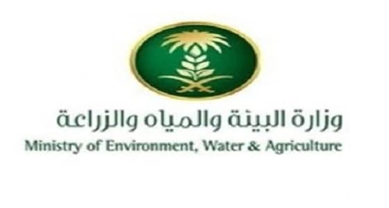 البيئة تطلق حملة تشجير نجران