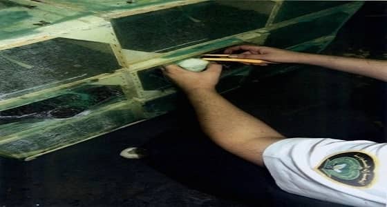 جمرك مطار الملك عبدالعزيز يحبط تهريب 42 ألف حبة كبتاجون