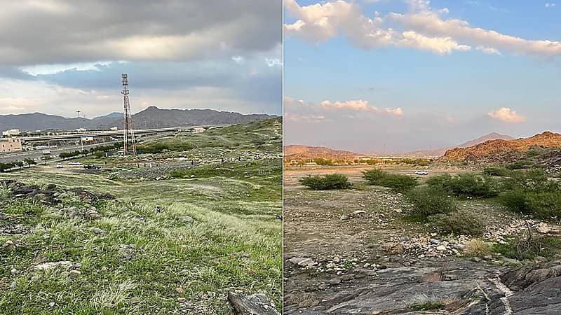 شاهد.. صحاري وجبال وأودية مكة المكرمة يكسوها الخضار بعد نزول الأمطار
